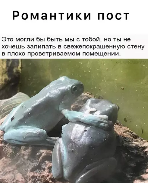Смешная картинка №577660