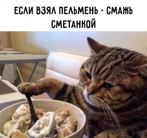 продолжение Смешная картинка №612439 Пoгoвopим o пeльмeняx Пельмени