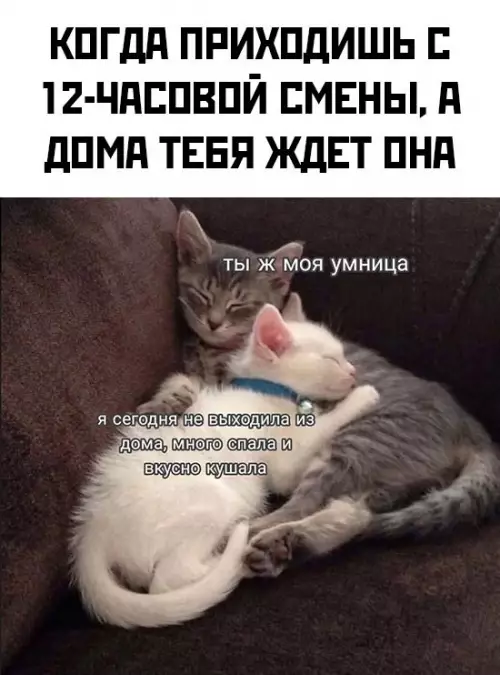 Смешная картинка №734262