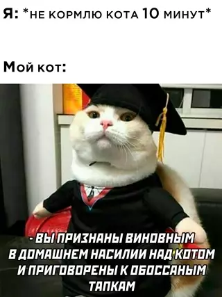 Смешная картинка №650979