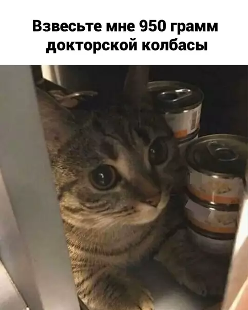 Смешная картинка №554774