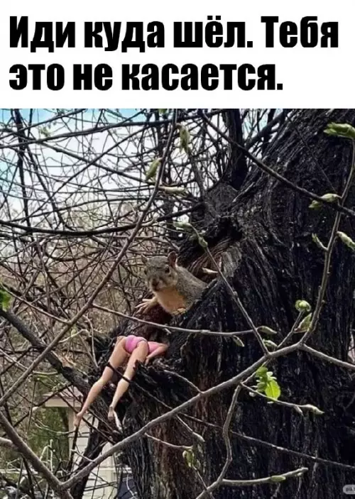 Смешная картинка №678443