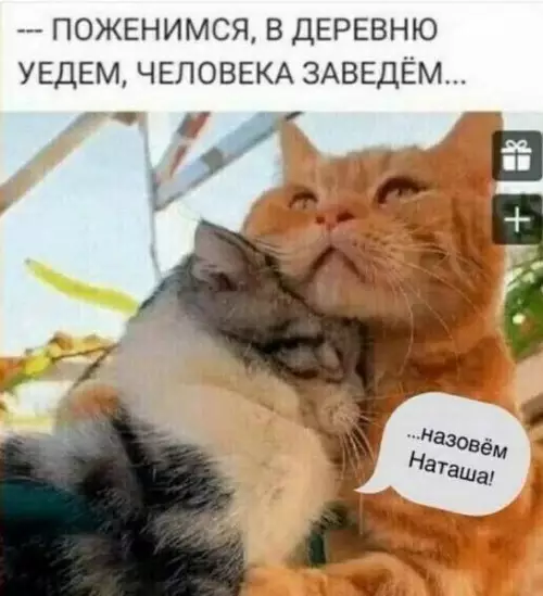 Смешная картинка №748782