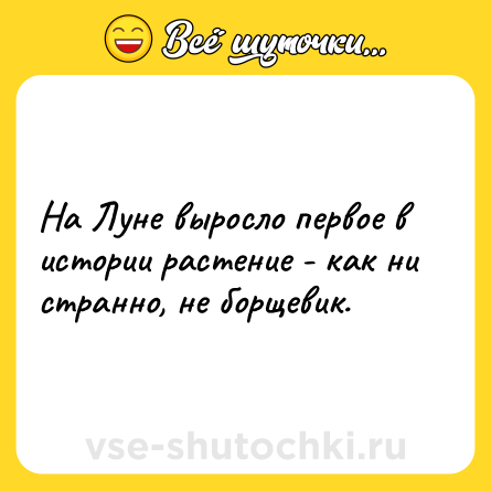 Шутка: На Луне выросло первое в истории растение - как ни странно, не борщевик.