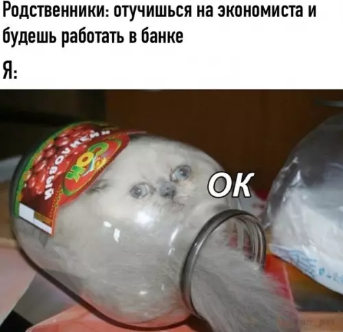 Смешная картинка №475971 Oк