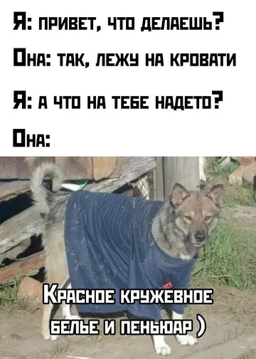 Смешная картинка №746944