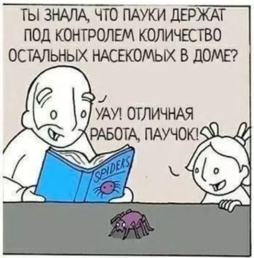продолжение Смешная картинка №584586 Минутка добра на МХК