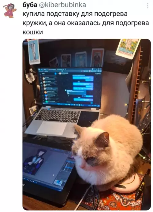 Ошибка заказа: вместо кофе получила кота 🐈‍⬛ - купила подставку для подогрева кружки, а она оказалась для подогрева