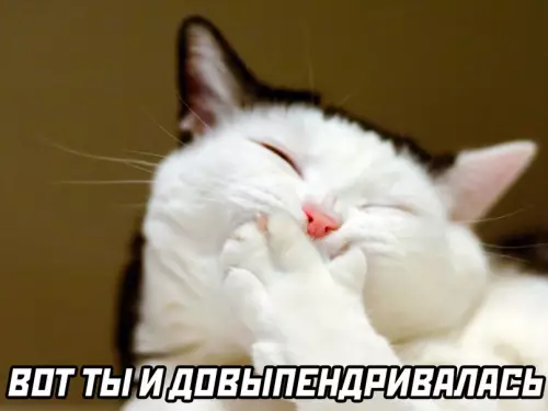 продолжение Смешная картинка №615328