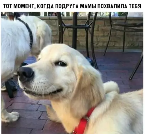 Смешная картинка №297502