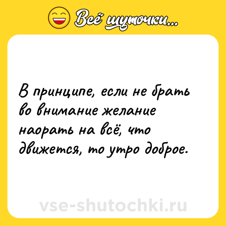 Шутка: В принципе, если не брать во внимание желание наорать на всё, что движется, то утро доброе.