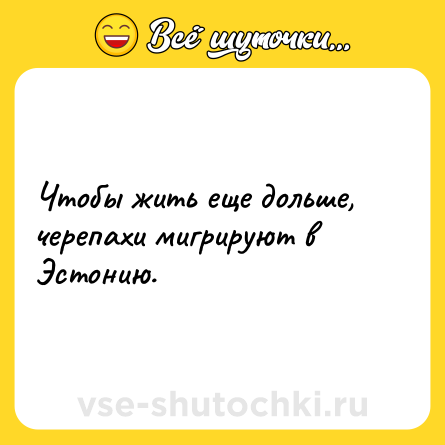 Шутка: Чтобы жить еще дольше, черепахи мигрируют в Эстонию.