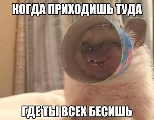 Смешная картинка №180223