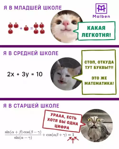 Смешная картинка №822364 математика