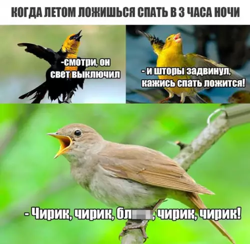 Смешная картинка №192019