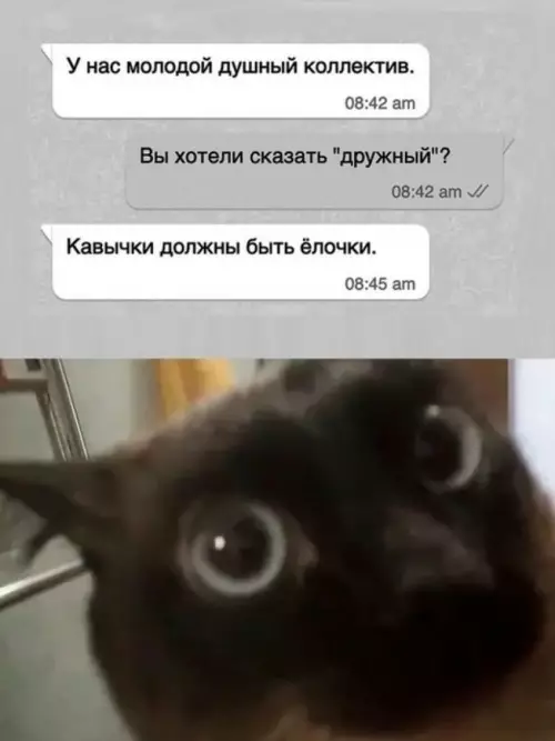 Смешная картинка №813105 коллектив