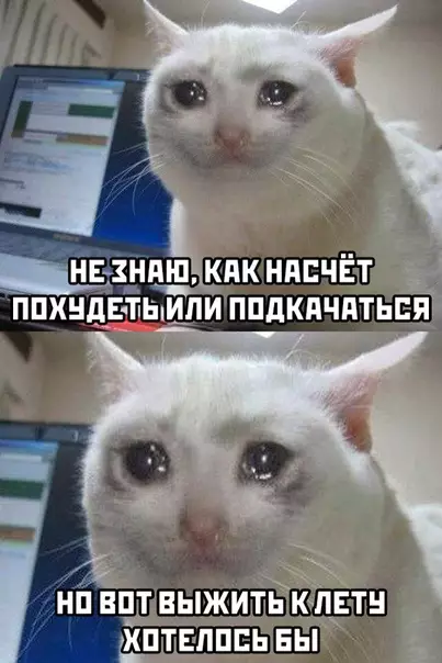 Смешная картинка №479807