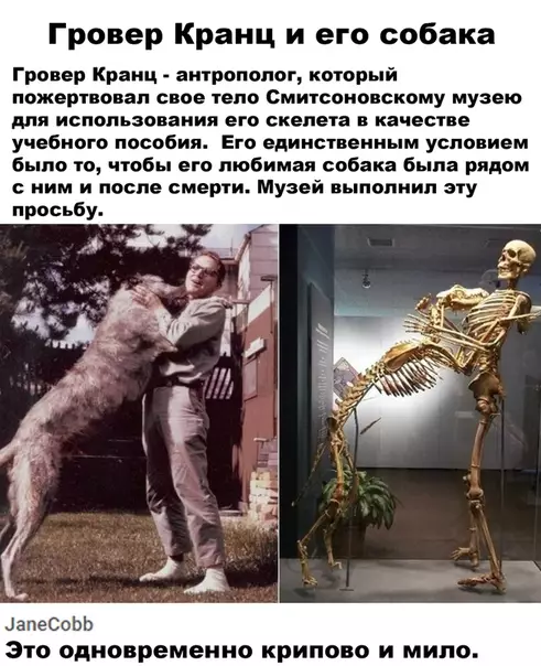Смешная картинка №503876 дружба длинною в жизнь и даже дольше