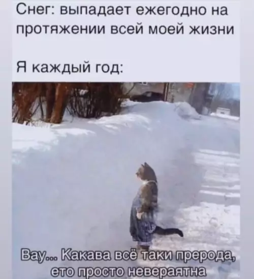 Смешная картинка №706217 Зима