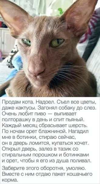 Смешная картинка №270486