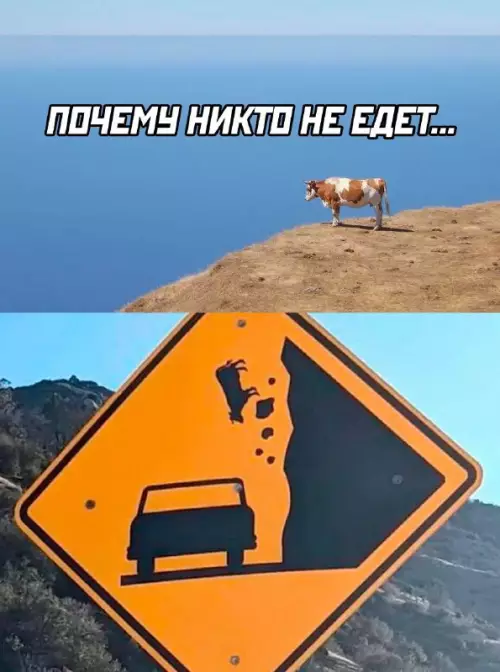 Корова против обрыва! 🐄💀 - ПОЧЕМУ НИКТО НЕ ЕДЕТ...