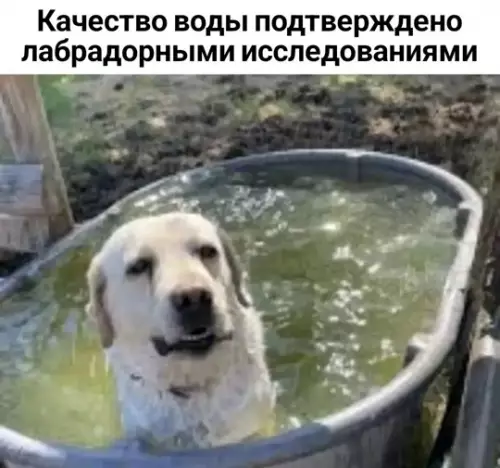 Смешная картинка №787834