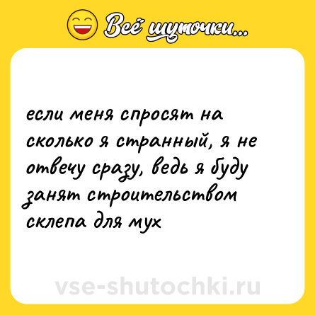 Шутка: если меня спросят на сколько я странный, я не отвечу сразу, ведь я буду занят строительством склепа для мух