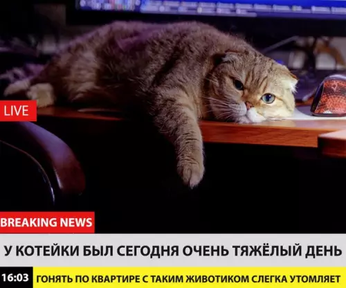Смешная картинка №214515