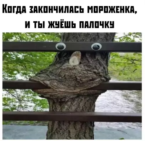 Смешная картинка №378116