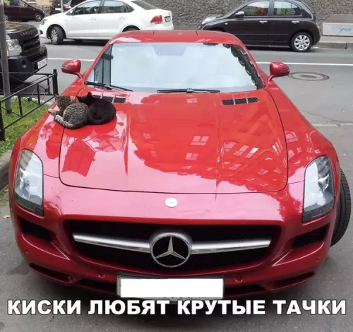 Смешная картинка №280581