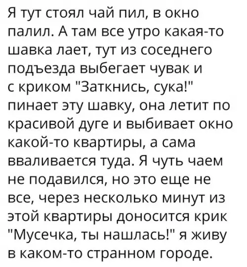 Смешная картинка №184302