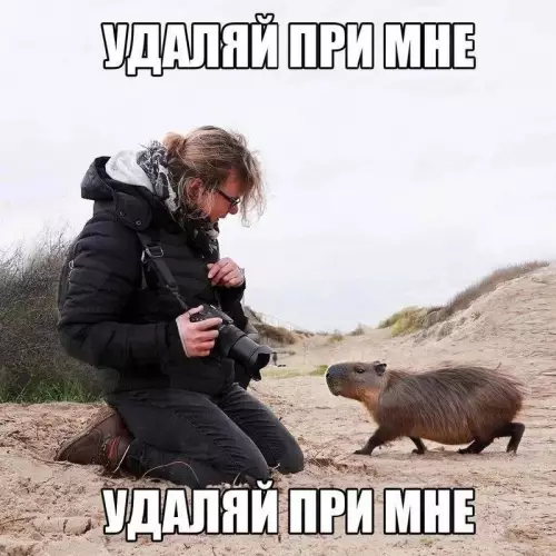 Смешная картинка №735976