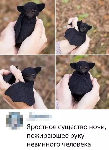 Смешная картинка №338441