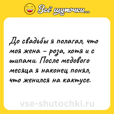 Шутка: До свадьбы я полагал, что моя жена – роза, хотя и с шипами. После медового месяца я наконец понял, что женился на кактусе.