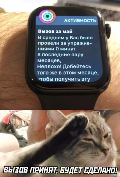 Смешная картинка №491078
