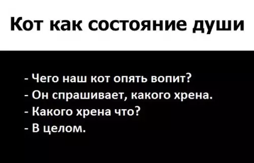 Смешная картинка №281763