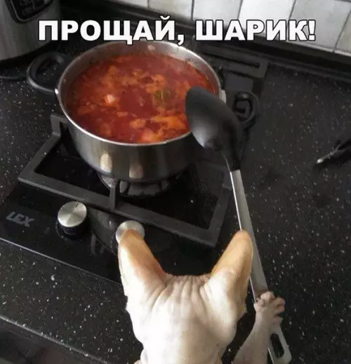 Смешная картинка №245765