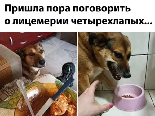 Смешная картинка №551298