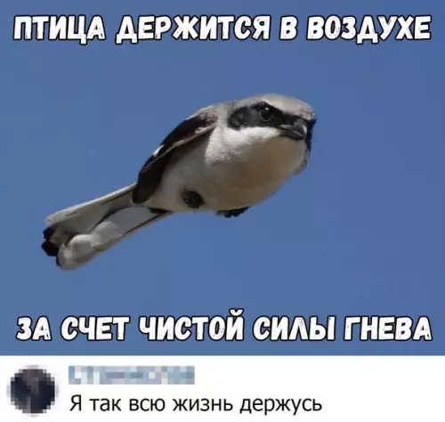 Смешная картинка №498845