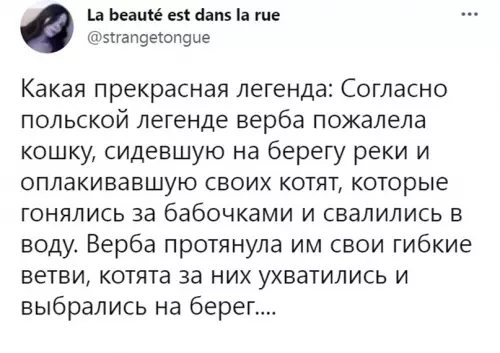 Смешная картинка №639337