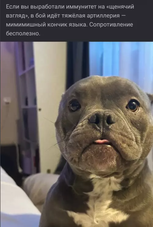 Смешная картинка №799249