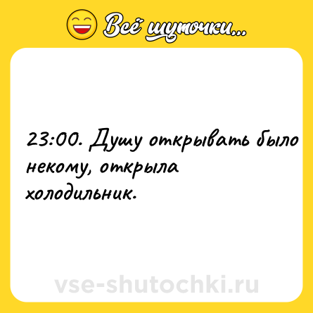 Шутка: 23:00. Душу открывать было некому, открыла холодильник.