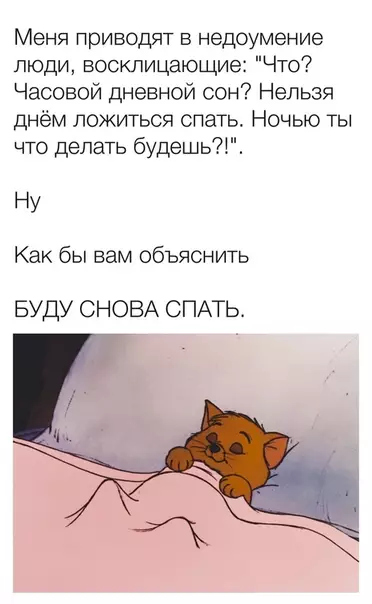 Смешная картинка №460175 Такое ощущение что они спять целый день и ночью бодрствуют
