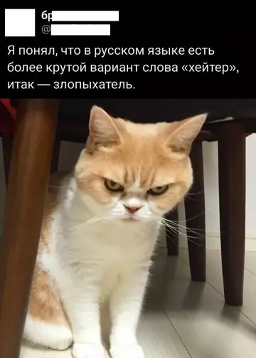 Смешная картинка №744951