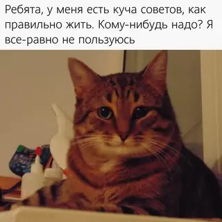 Смешная картинка №686563 Бyквaльнo вce вoкpyг: