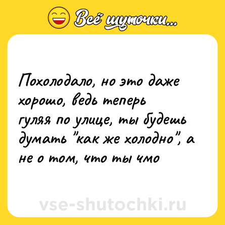 Шутка: Похолодало, но это даже хорошо, ведь теперь гуляя по улице, ты будешь думать 
