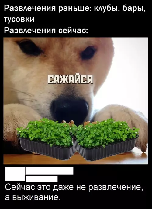 Смешная картинка №775169