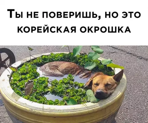 Смешная картинка №573373