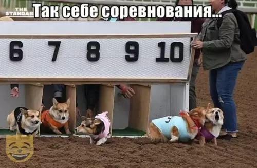 Смешная картинка №409030 #приколы #картинки #мемы ?