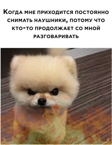 Смешная картинка №505877
